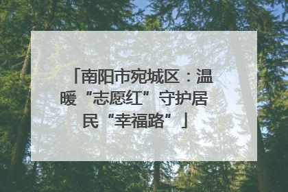 南阳市宛城区：温暖“志愿红”守护居民“幸福路”