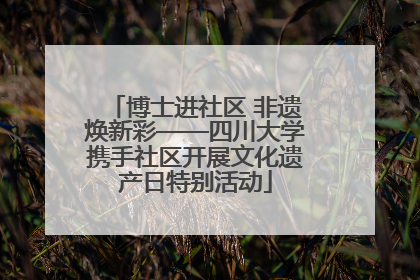 博士进社区 非遗焕新彩——四川大学携手社区开展文化遗产日特别活动