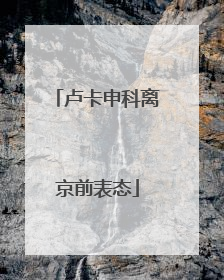 卢卡申科离京前表态