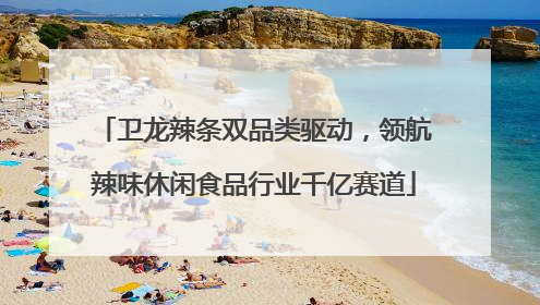 卫龙辣条双品类驱动，领航辣味休闲食品行业千亿赛道