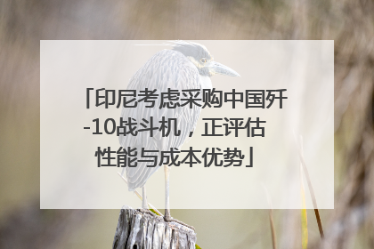 印尼考虑采购中国歼-10战斗机，正评估性能与成本优势