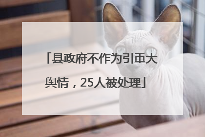 县政府不作为引重大舆情，25人被处理