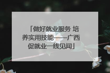 做好就业服务 培养实用技能——广西促就业一线见闻