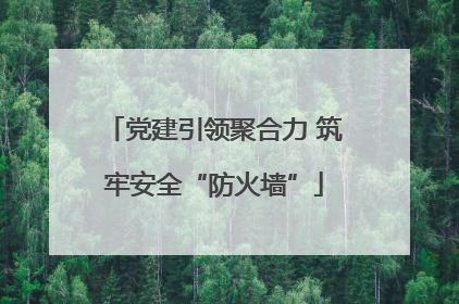 党建引领聚合力 筑牢安全“防火墙”