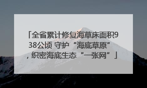 全省累计修复海草床面积938公顷 守护“海底草原”，织密海底生态“一张网”