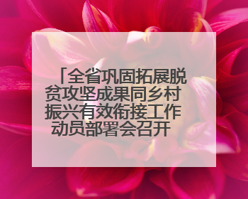 全省巩固拓展脱贫攻坚成果同乡村振兴有效衔接工作动员部署会召开 吴晓军主持并讲话 罗东川作安排部署