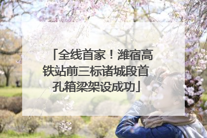 全线首家！潍宿高铁站前三标诸城段首孔箱梁架设成功