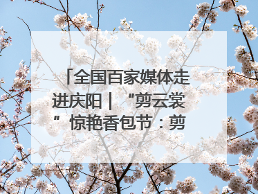 全国百家媒体走进庆阳｜“剪云裳”惊艳香包节：剪纸跃上华服 非遗焕发新彩