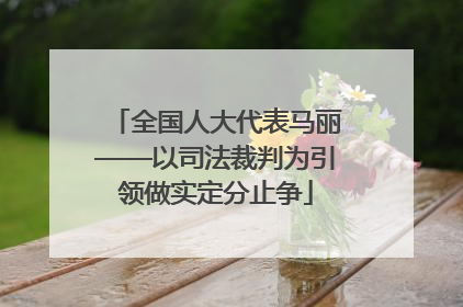 全国人大代表马丽——以司法裁判为引领做实定分止争