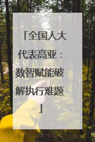 全国人大代表高亚：数智赋能破解执行难题