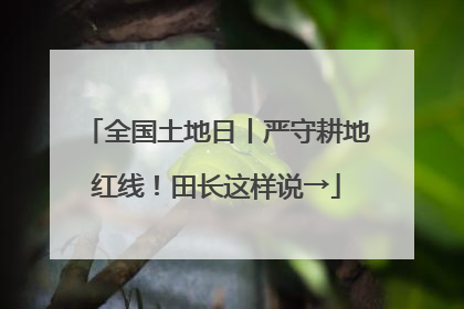 全国土地日丨严守耕地红线！田长这样说→