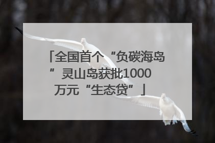 全国首个“负碳海岛”灵山岛获批1000万元“生态贷”