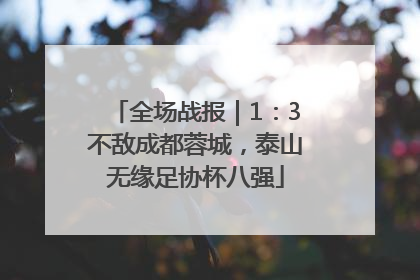 全场战报｜1：3不敌成都蓉城，泰山无缘足协杯八强
