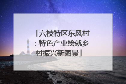 六枝特区东风村：特色产业绘就乡村振兴新图景