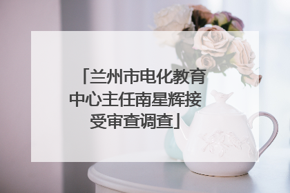 兰州市电化教育中心主任南星辉接受审查调查