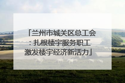 兰州市城关区总工会：扎根楼宇服务职工 激发楼宇经济新活力