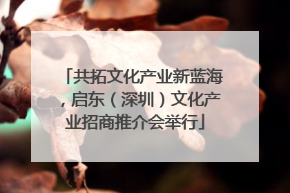 共拓文化产业新蓝海，启东（深圳）文化产业招商推介会举行