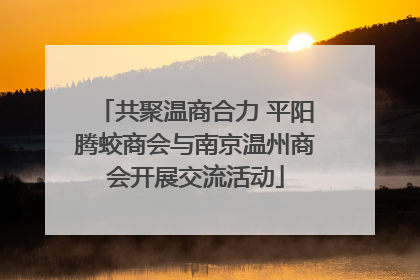 共聚温商合力 平阳腾蛟商会与南京温州商会开展交流活动