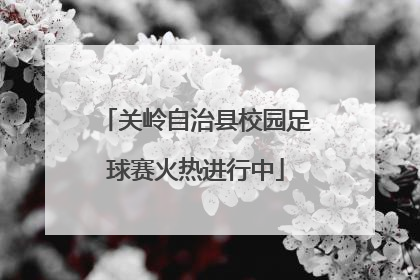 关岭自治县校园足球赛火热进行中