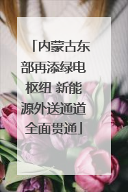内蒙古东部再添绿电枢纽 新能源外送通道全面贯通