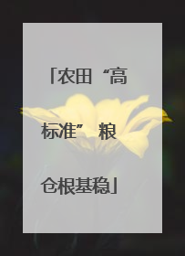 农田“高标准” 粮仓根基稳