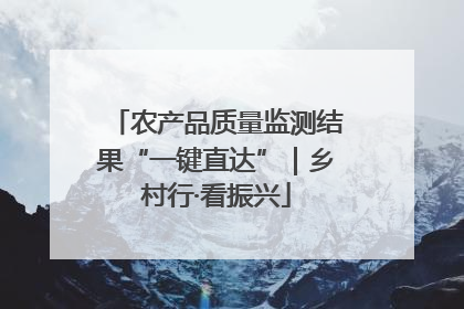 农产品质量监测结果“一键直达”｜乡村行·看振兴