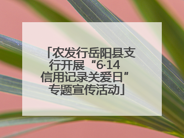 农发行岳阳县支行开展“6·14信用记录关爱日” 专题宣传活动