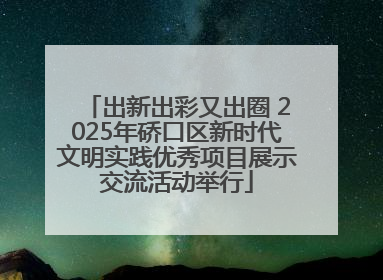 出新出彩又出圈 2025年硚口区新时代文明实践优秀项目展示交流活动举行