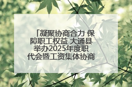 凝聚协商合力 保障职工权益 大通县举办2025年度职代会暨工资集体协商现场观摩交流活动