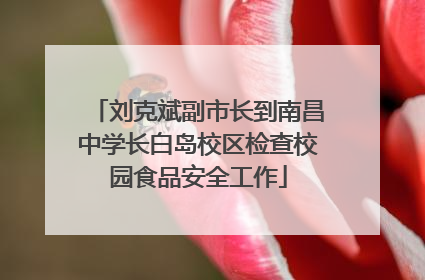 刘克斌副市长到南昌中学长白岛校区检查校园食品安全工作