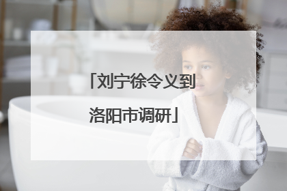 刘宁徐令义到洛阳市调研