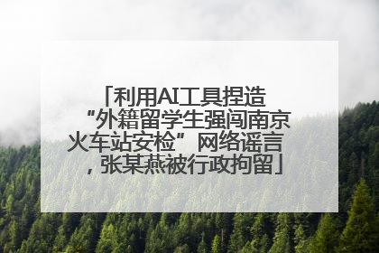 利用AI工具捏造 “外籍留学生强闯南京火车站安检”网络谣言，张某燕被行政拘留