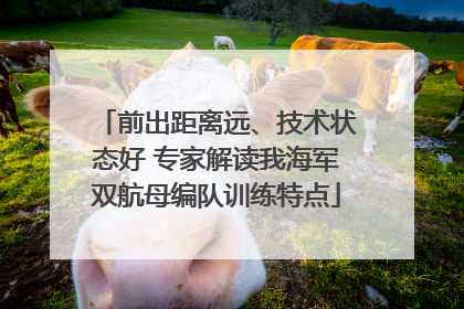 前出距离远、技术状态好 专家解读我海军双航母编队训练特点
