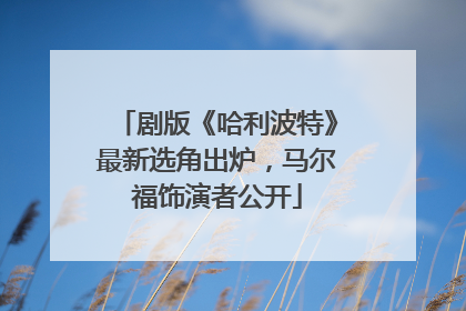 剧版《哈利波特》最新选角出炉，马尔福饰演者公开
