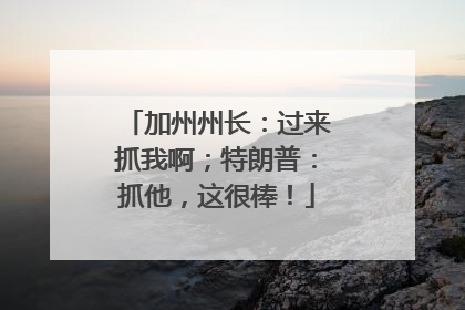 加州州长：过来抓我啊；特朗普：抓他，这很棒！