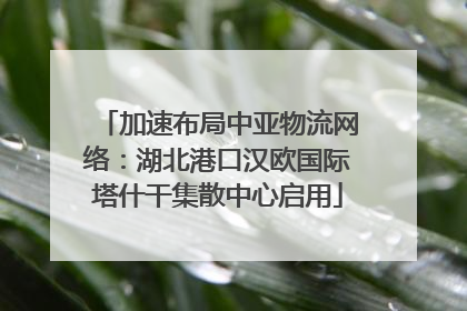 加速布局中亚物流网络：湖北港口汉欧国际塔什干集散中心启用