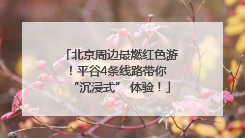 北京周边最燃红色游！平谷4条线路带你 “沉浸式” 体验！