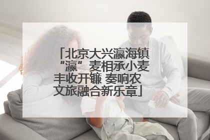 北京大兴瀛海镇“瀛”麦相承小麦丰收开镰 奏响农文旅融合新乐章