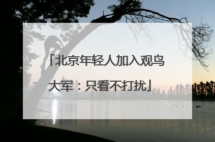 北京年轻人加入观鸟大军：只看不打扰