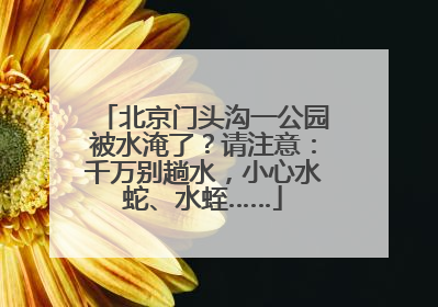 北京门头沟一公园被水淹了？请注意：千万别趟水，小心水蛇、水蛭……