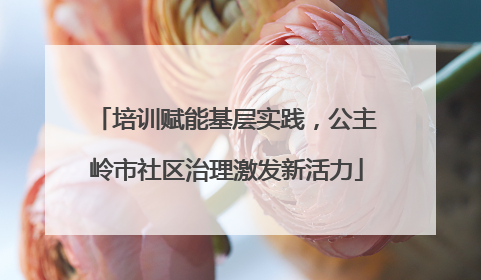 培训赋能基层实践，公主岭市社区治理激发新活力