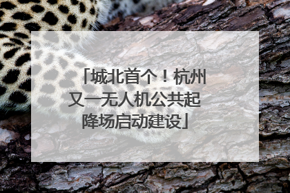 城北首个！杭州又一无人机公共起降场启动建设