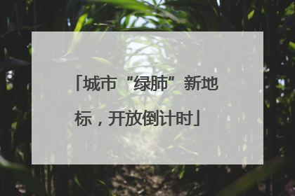 城市“绿肺”新地标，开放倒计时