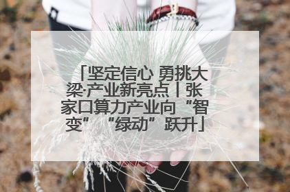 坚定信心 勇挑大梁·产业新亮点丨张家口算力产业向“智变”“绿动”跃升