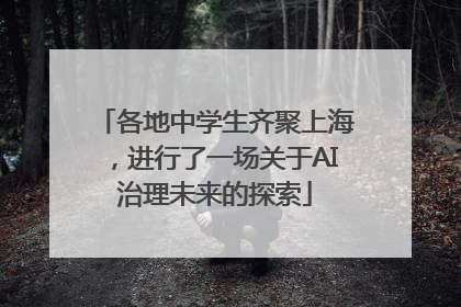 各地中学生齐聚上海，进行了一场关于AI治理未来的探索