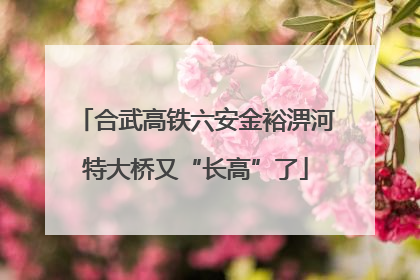 合武高铁六安金裕淠河特大桥又“长高”了