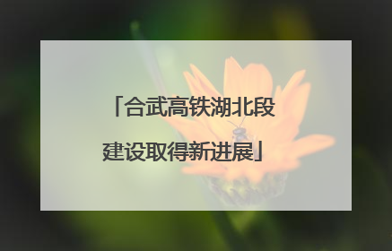 合武高铁湖北段建设取得新进展