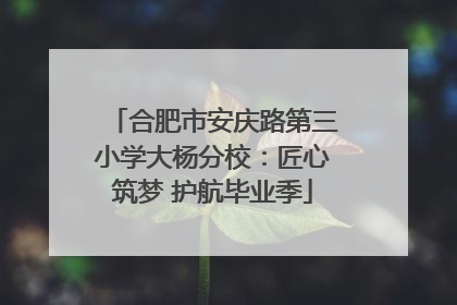 合肥市安庆路第三小学大杨分校：匠心筑梦 护航毕业季