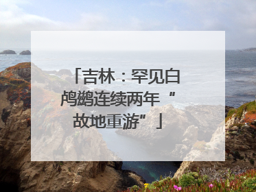 吉林：罕见白鸬鹚连续两年“故地重游”