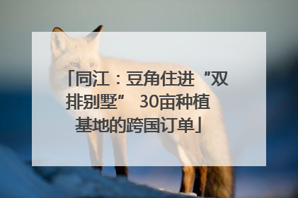同江：豆角住进“双排别墅” 30亩种植基地的跨国订单